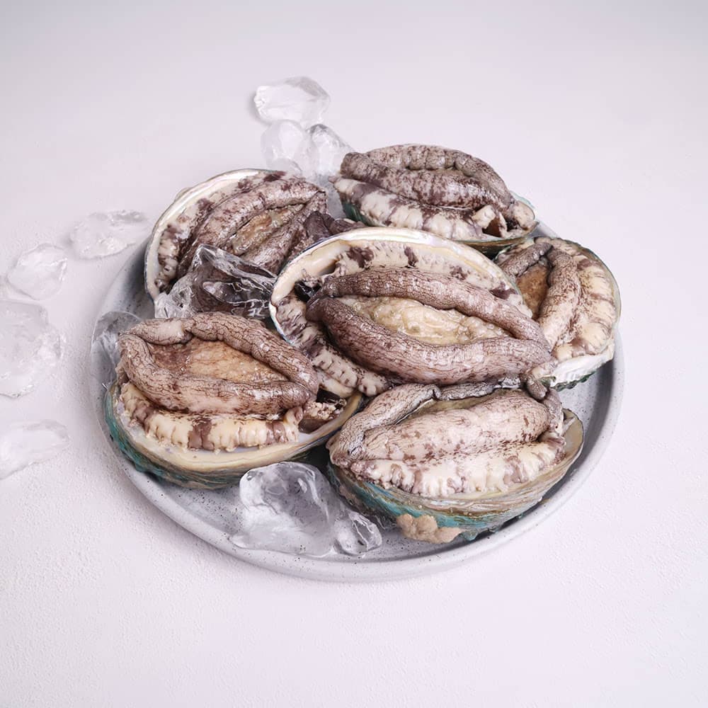 기삼전복 8-10미 1kg (13,870원 / 무료배송)