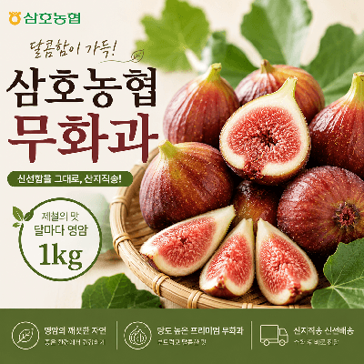 농협몰) 삼호농협 영암 무화과 1kg(500g+500g) 18,120원 무배