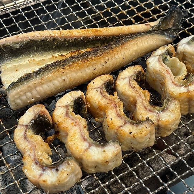 [롯데온]자포니카 장어 국내산 고창 민물장어 1kg 손질 후 700g (19,970원/무료) (무료배송)