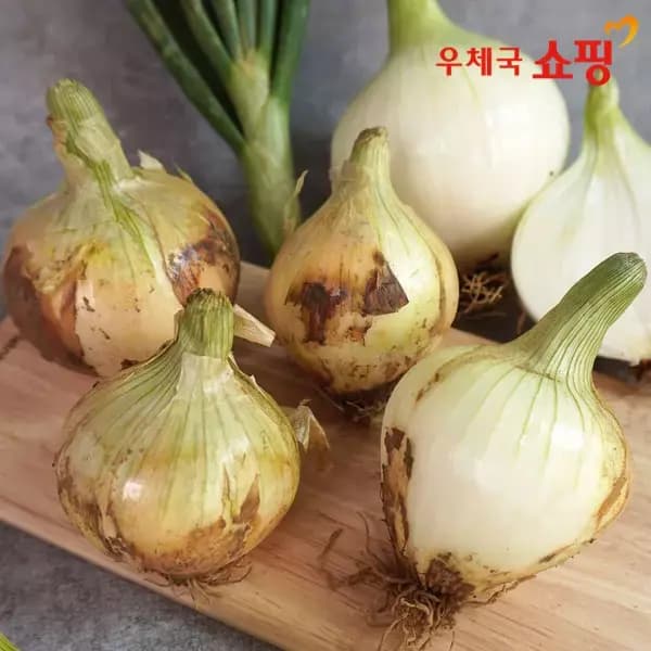 (11번가)26년 무안 황토밭 만생양파 3kg 중상혼합 (3,880원/무료) (무료배송)