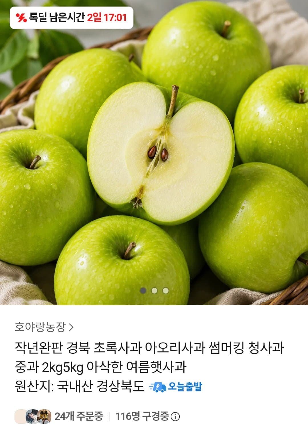 [톡딜]경북 초록사과 중과 2kg (7,900원 / 무배)