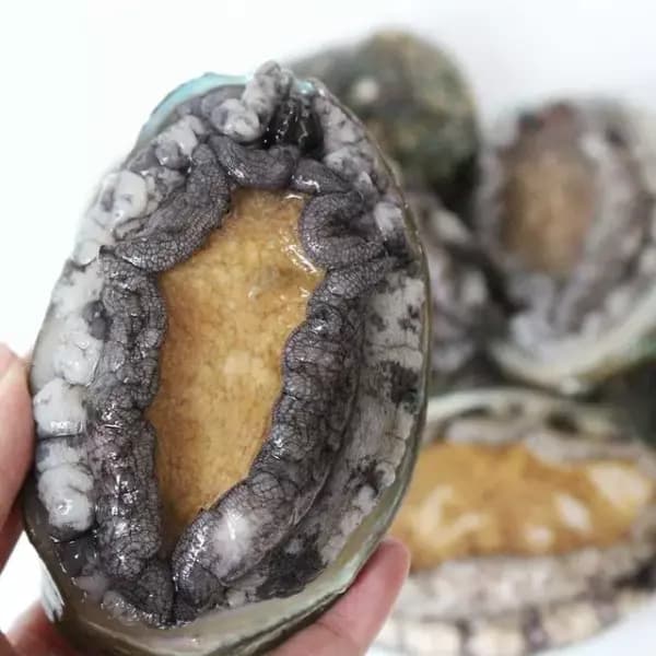 옥션) 9-10미 1kg 활전복 14,700원 (무료배송)