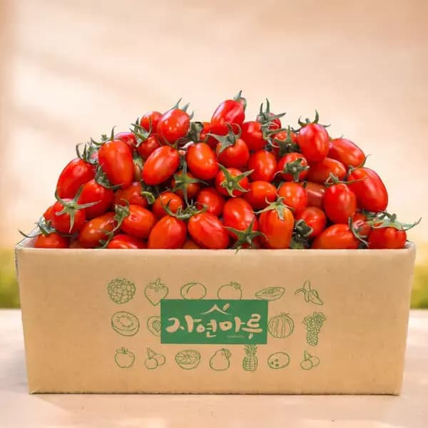 지마켓) 대추방울토마토 3~4번과 3kg 8,100원 (무료배송)