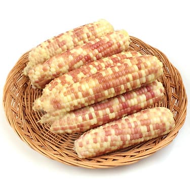 톡딜) 냉동 홍찰옥수수 왕특대(개당 16-18cm) 15개 12,400원 (무료배송)