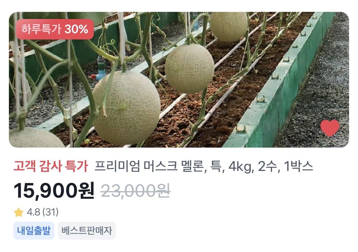 [토스]머스크 멜론 4kg 2수 (15,900원/무료)