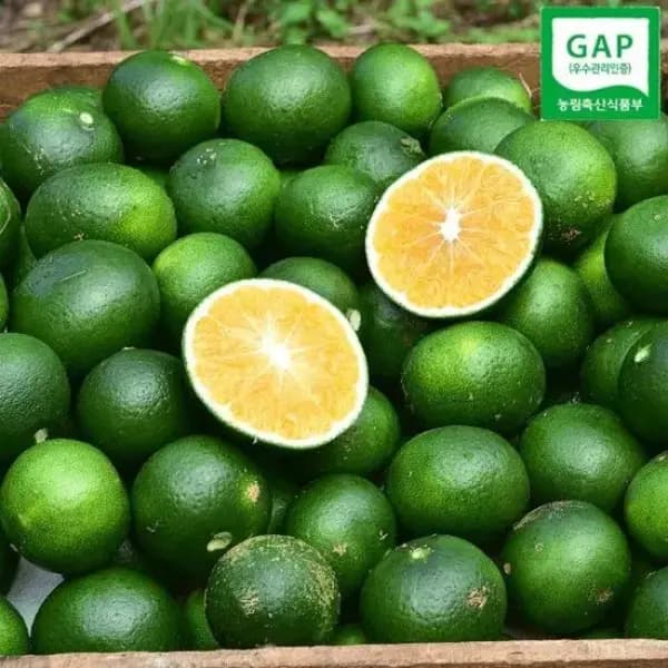 [지마켓]GAP인증 제주 청귤 3kg (9,630원/무료) (무료배송)