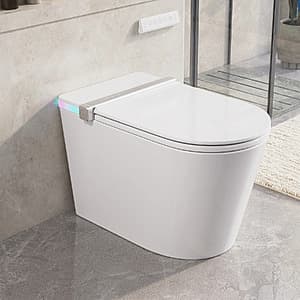DeerValley One-Piece 0.92/1.32 GPF Elongated Smart Bidet Toilet $518 + Free S&H ($91.35 / (약: 129,607원))