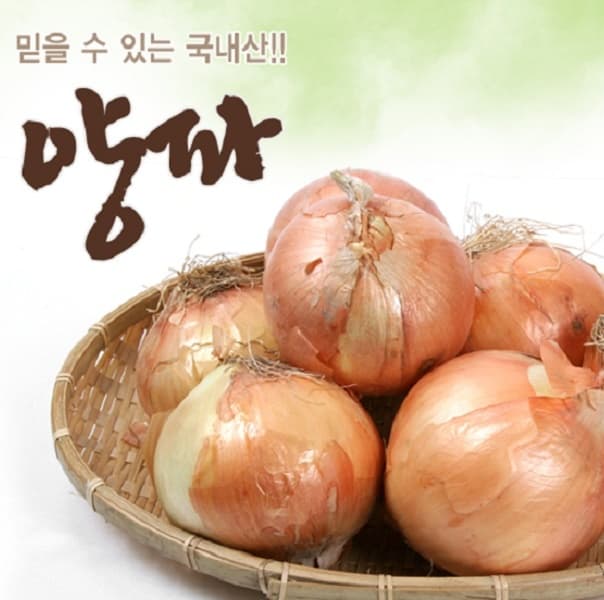 [네이버]26년 국내산 햇양파 무안 창녕 1.5kg (1,490원/무료) (무료배송)