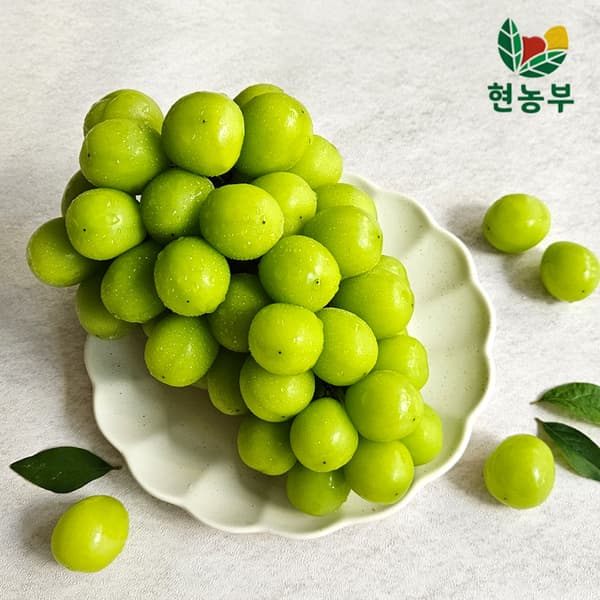 [G마켓] 샤인머스켓 2kg (11,880/무료) (11,880원 / 무료배송)
