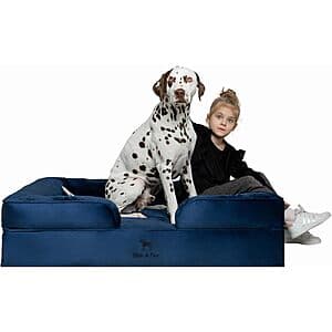 NOAH & PAW XL Orthopedic Dog Bed w Cooling Gel Memory Foam ($54.15 / (약: 76,898원))