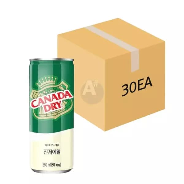 캐나다드라이 진저에일 토닉, 250ml, 30개 (13,900원 / 무료배송)