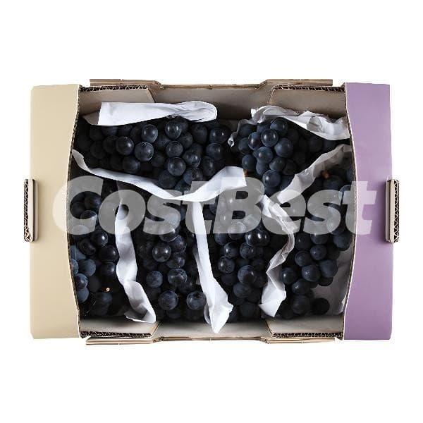 캠벨포도 2kg (18,590원)