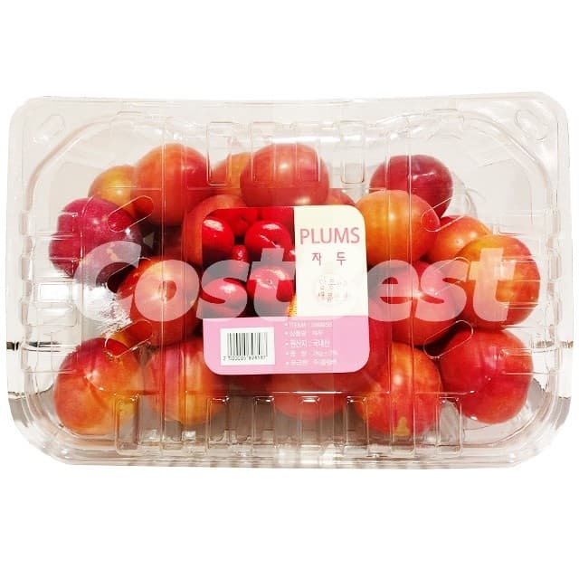 자두 2kg 국내산 (14,290원)