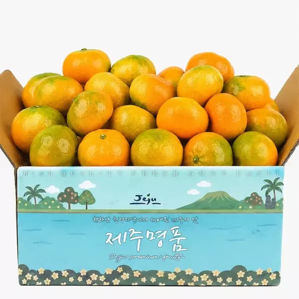 [11번가] 제주 하우스 감귤 1.8kg 로얄과 (12,560원/무료) (무료배송)
