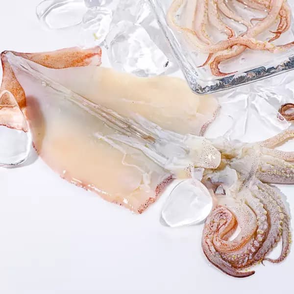 [지마켓] 오징어 1kg (3-5미내외) (13,920원/무료) (무료배송)