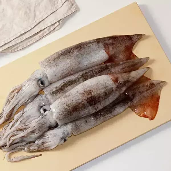 [11번가] T멤버십 국내산 당일조업 서해안 생물 오징어 얼음포장 700~800g (3~5미) (12,400원/무료) (무료배송)