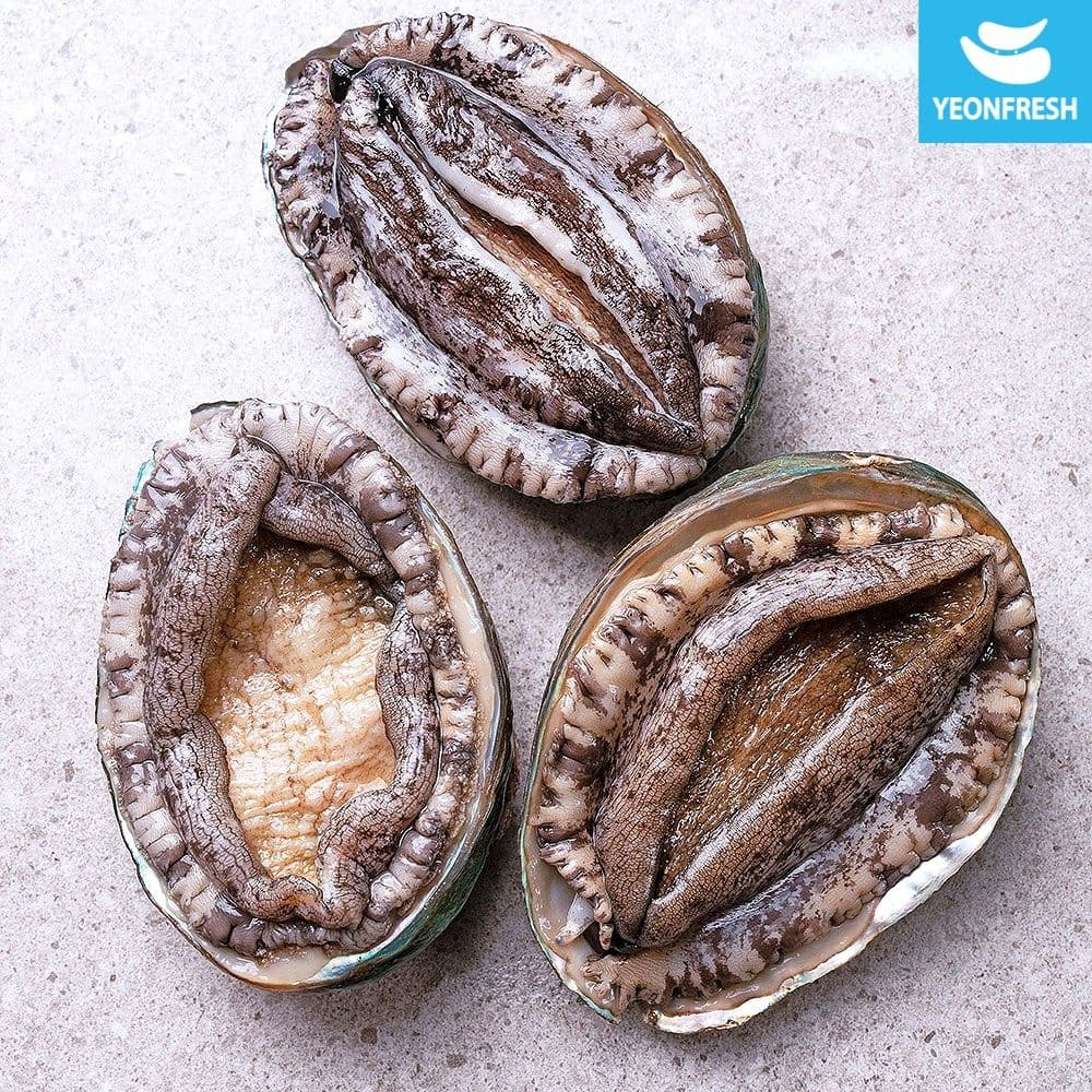 [롯데온] 완도 활 전복 1kg 9-10미 산소팩 (14,720원/무료) (무료배송)