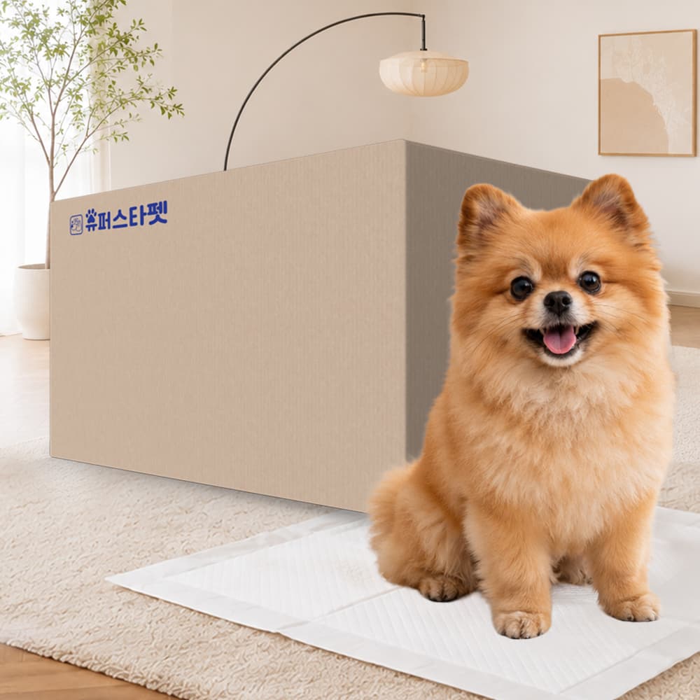 논슬립 강아지 배변패드 소형 36g x 320매 벌크포장 (21,900원 / 무료배송)
