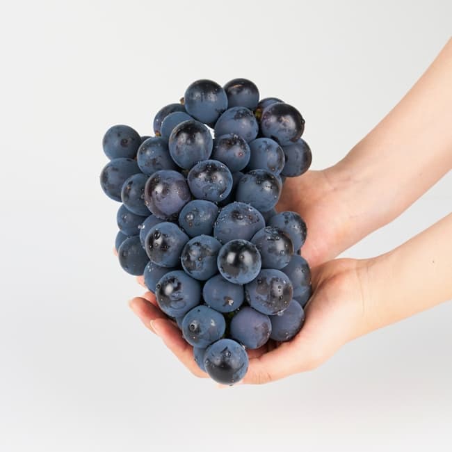 [인더마켓] 고당도 국내산 거봉 2kg 18브릭스 (17,990원/무료) (무료배송)