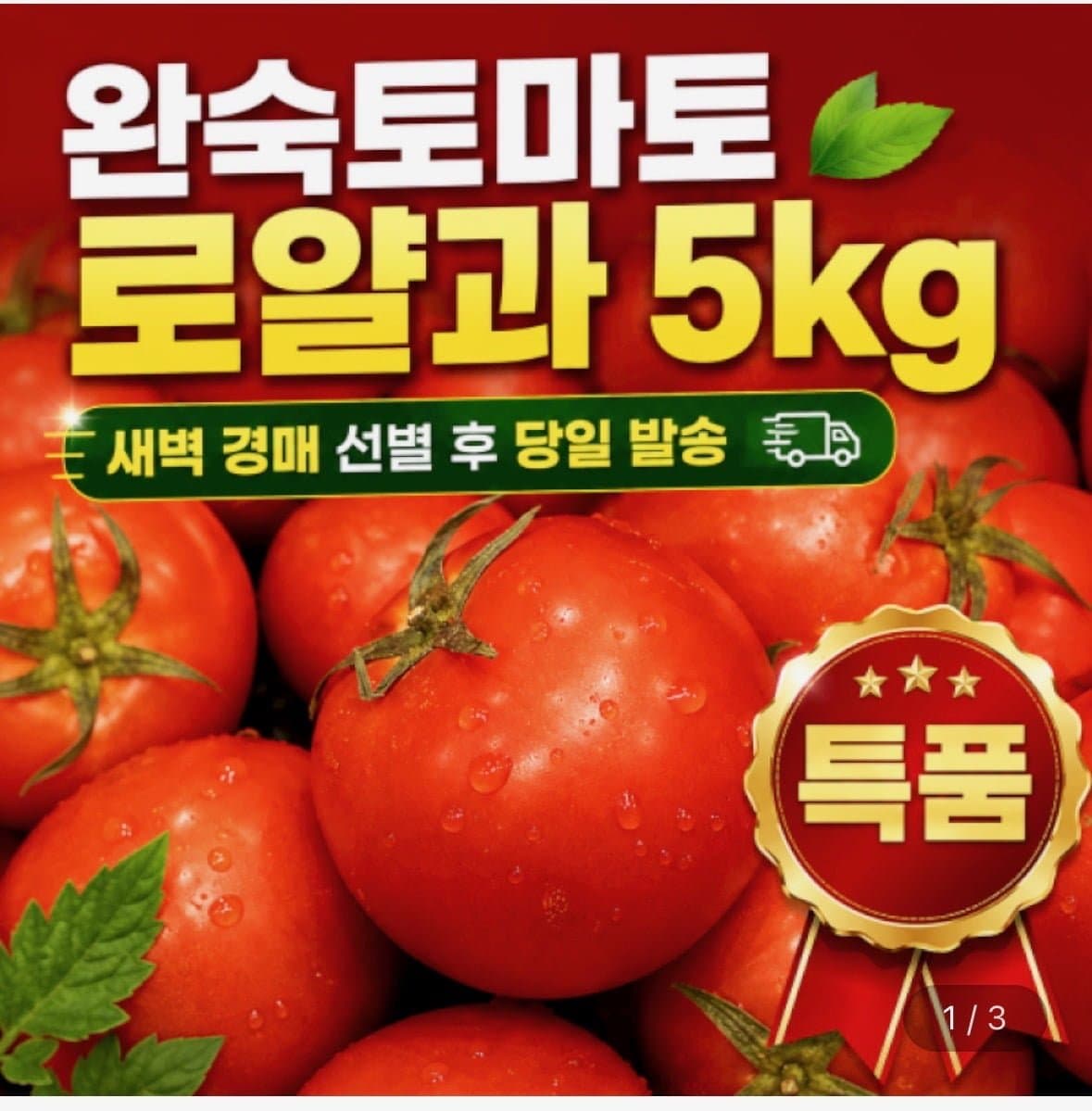 [지마켓]경북 완숙 토마토 로얄과 5kg (16,920원/무료배송)