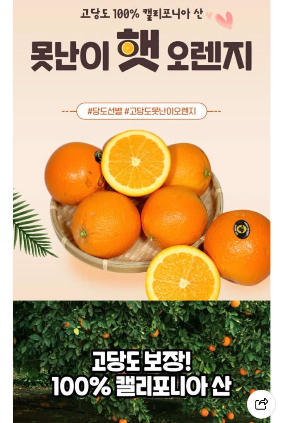 [네이버스토어]12브릭스이상 못난이 오렌지 중대과 8kg (25,600원/무배)