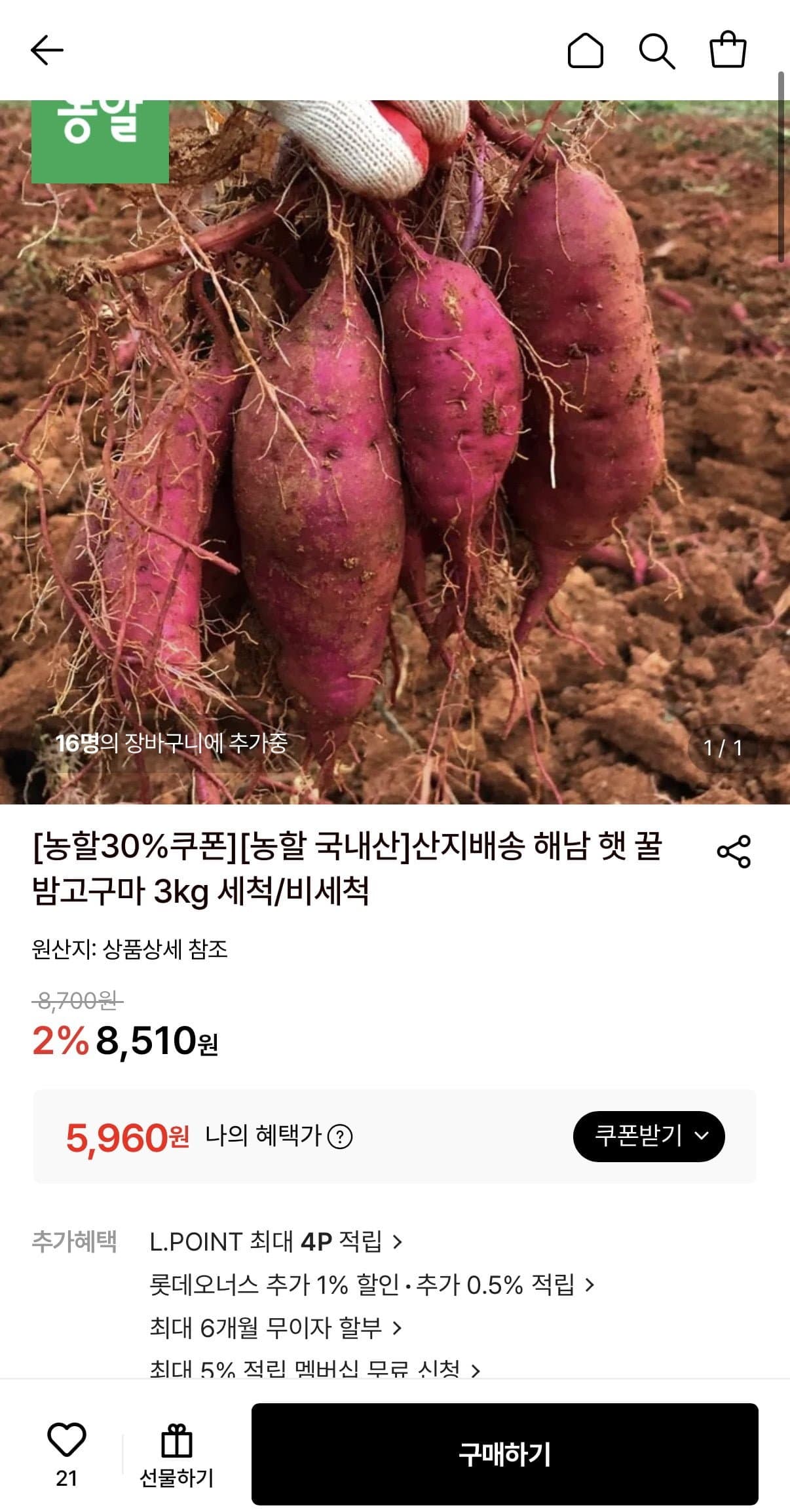 [롯데온]햇꿀밤고구마 3kg 비세척 한입 (5,960원/무료)