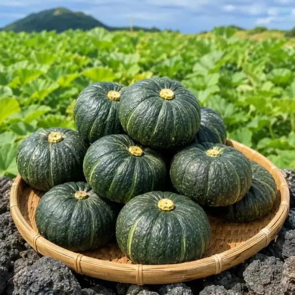 [네이버] 국내산 미니 단호박 2kg (3,800원 / 무료배송)