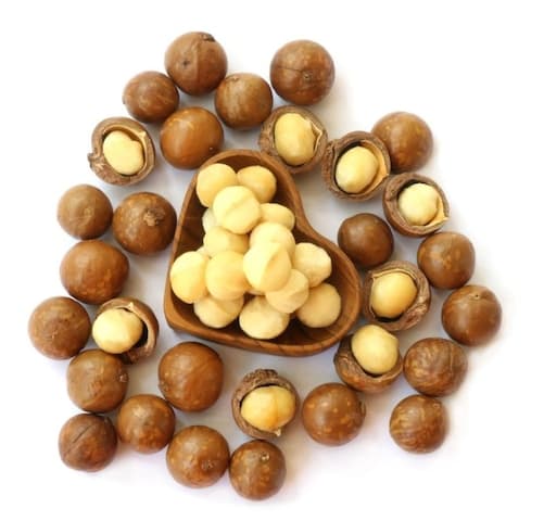 [오늘의집] 까먹는 통 마카다미아 250g x 2세트 (8,955원 / 무료배송)
