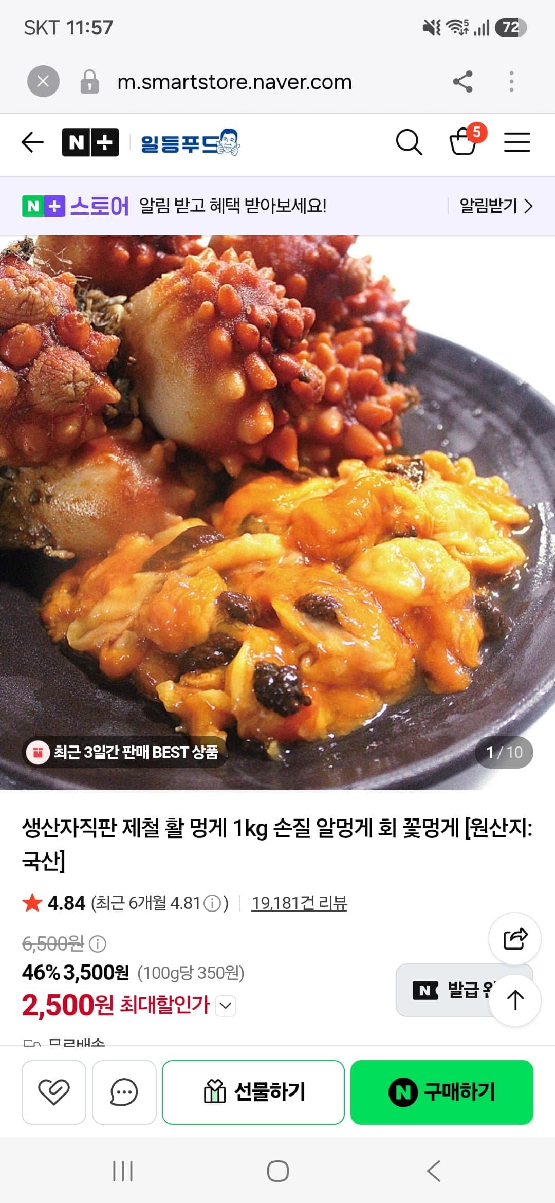 [네이버]생산자직판 제철 활 멍게 1kg(2,500원/무료)