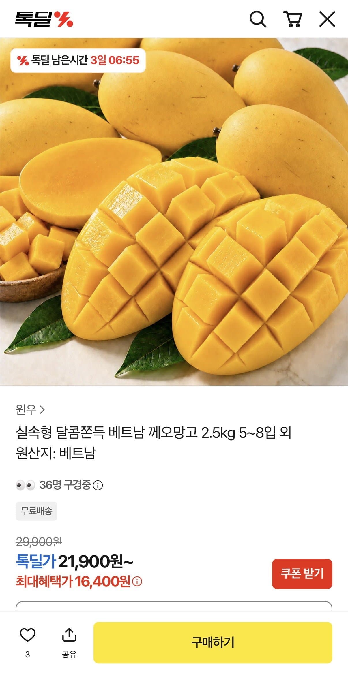[카카오]실속형 베트남 께오망고 2.5kg 5~8입 (21,900원/무배)