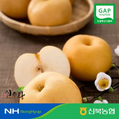 [농협몰] 26년 영암 햇배 원황배(가정용) 3kg 6-7과 중소과 (9,240원 / 무료배송)