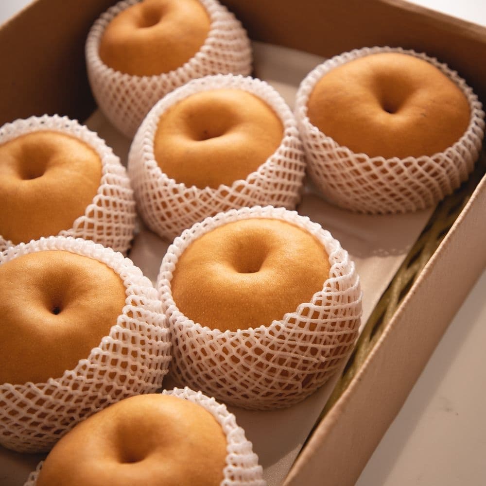 [롯데온] 26년 햇 나주배 3kg 4~5과 (11,370원 / 무료배송)