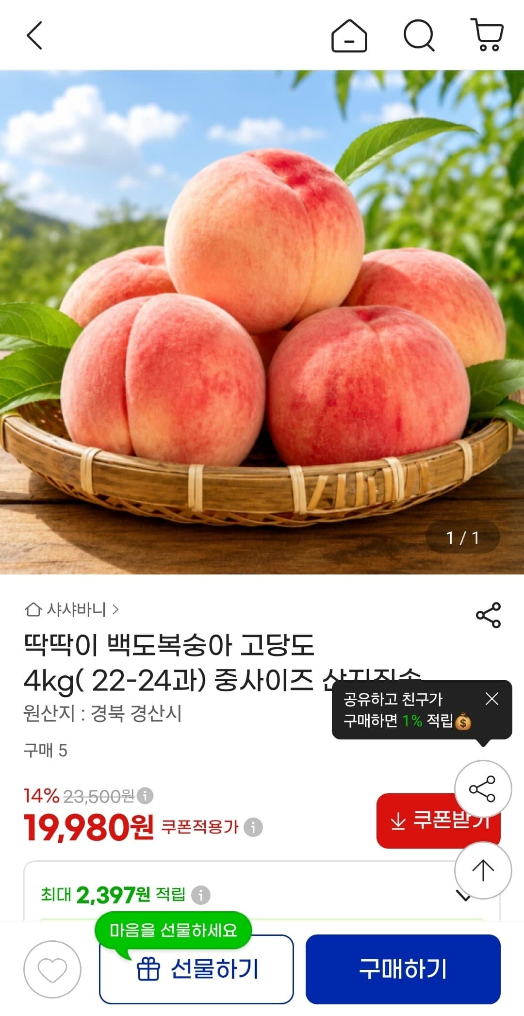 [지마켓]딱딱이 백도복숭아 4kg 중 (22-24과) (19,980원/무료)