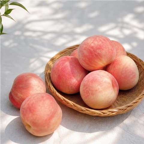 [오늘의집] 경북 차돌복숭아(딱딱이) 소과 4kg (12,874원/무료) (무료배송)