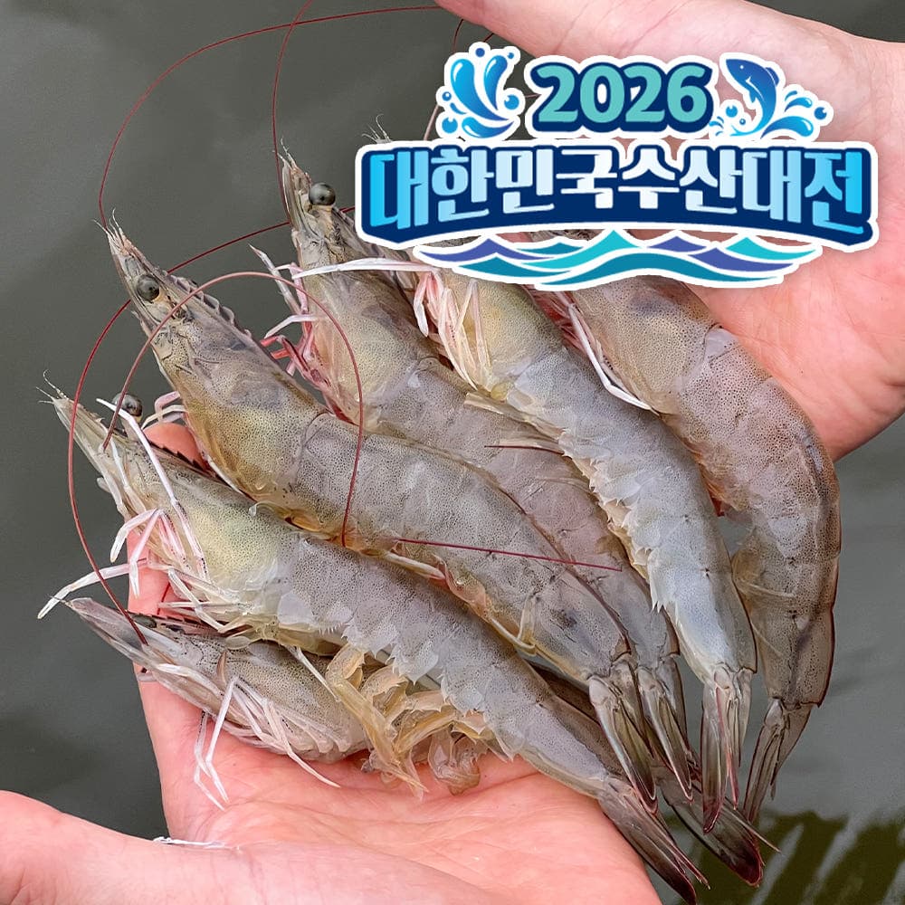 [네이버] 신안 산지직송 활새우 1kg 36미 내외 (22,320원/무료배송)