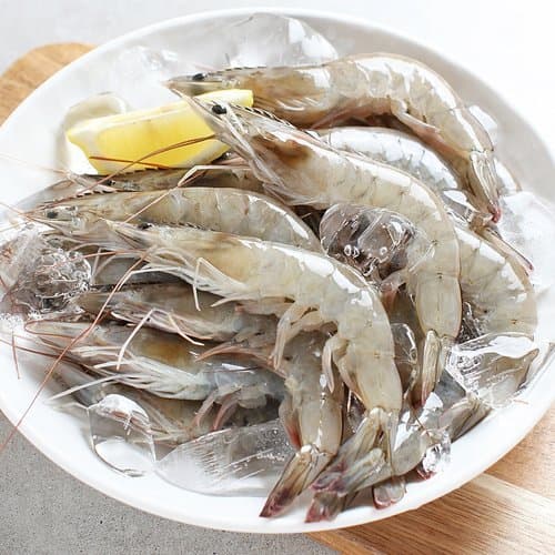 [SK스토아] 생물 활새우 1kg (24,400원/무료) (무료배송)