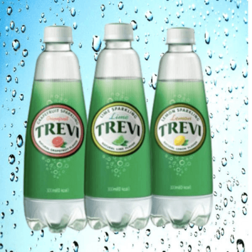 [지마켓] 트레비 라임+자몽+레몬 300ml 3종 각 20병씩 14,850원 무배