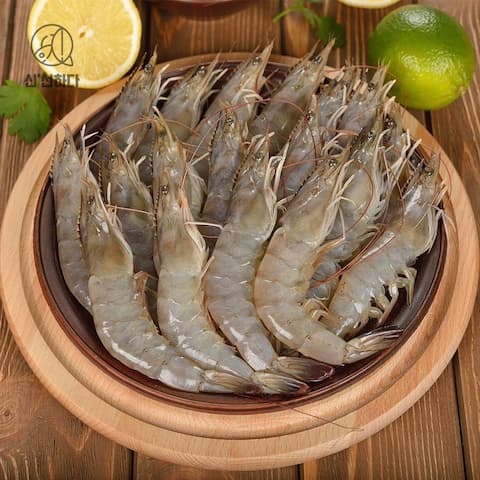 [오늘의집] 신안 활 생새우 500g 18미 내외 (15,901원/무료) (무료배송)
