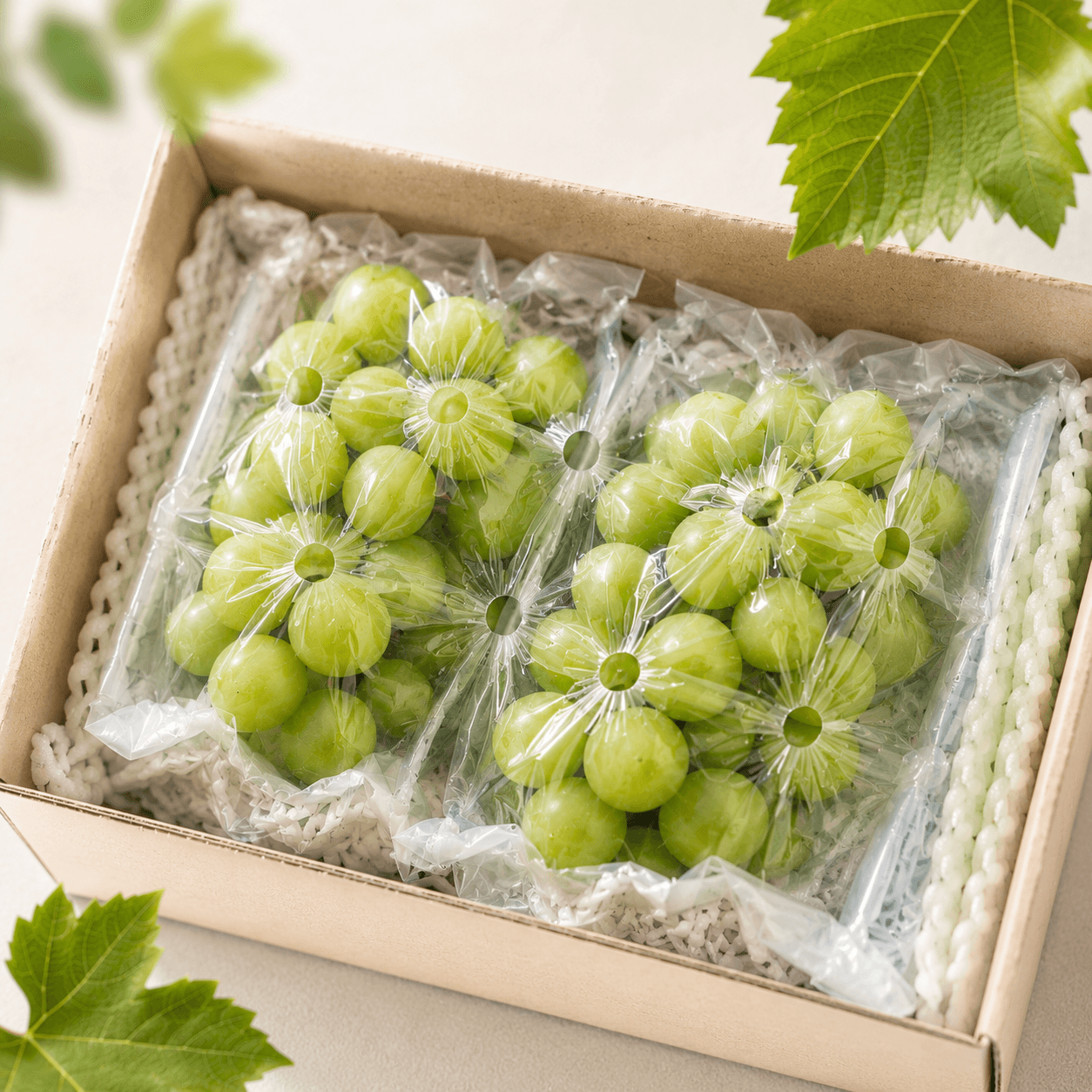 [롯데온] 영천 샤인머스켓 2kg (5-6수) (13,170원/무료) (무료배송)