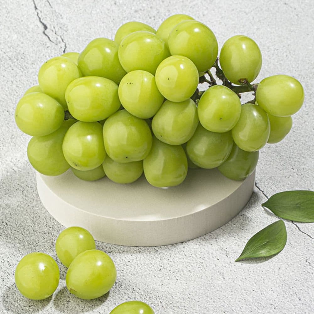 [롯데온] 샤인머스켓 1kg 특품 1-2수 6,920원 (무료배송)