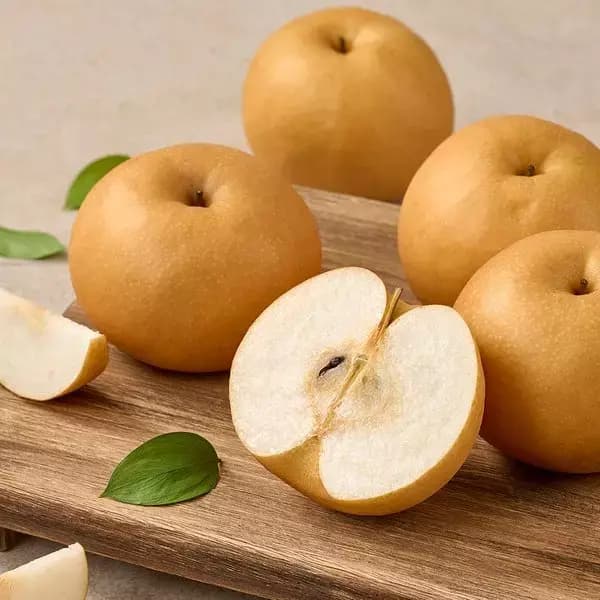 [지마켓] 나주 26년 햇배 원황배 3kg 4-7과 (10,630원 / 무료배송)