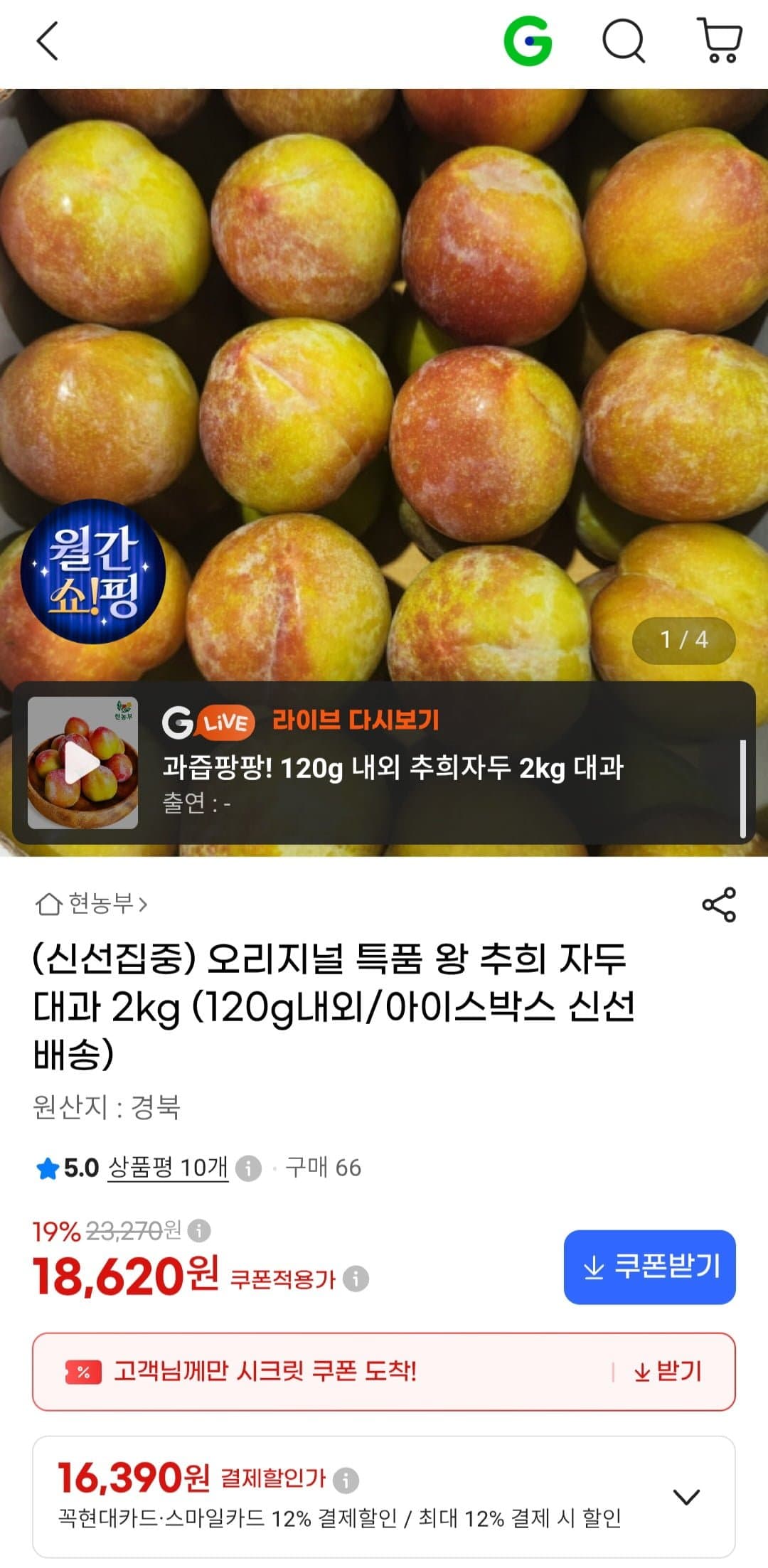 [G마켓]특품 왕 추희 자두 대과 2kg (18,620원/무료)