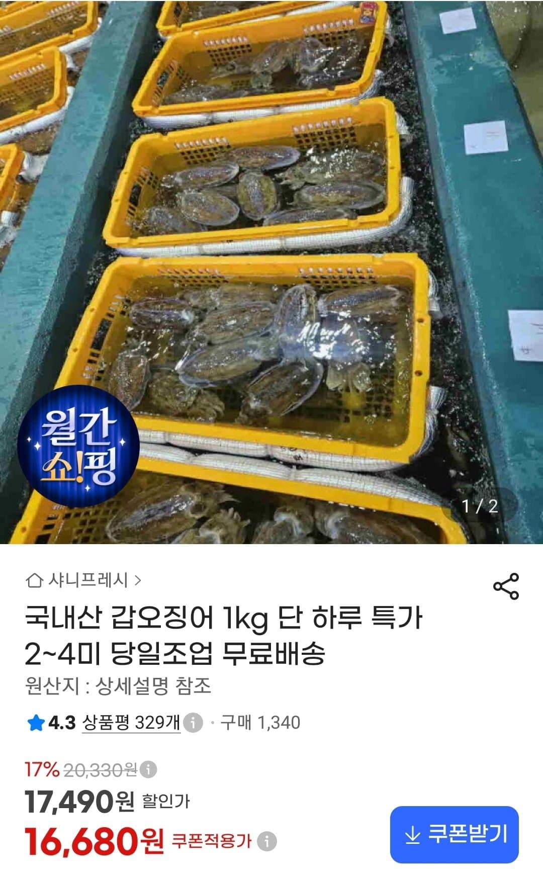 [G마켓]국내산 갑오징어 1kg 2~4미 (16,680원/무료)