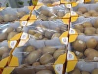 ZESPRI 골드키위 2.4KG 원산지: 뉴질랜드 (22,990원)