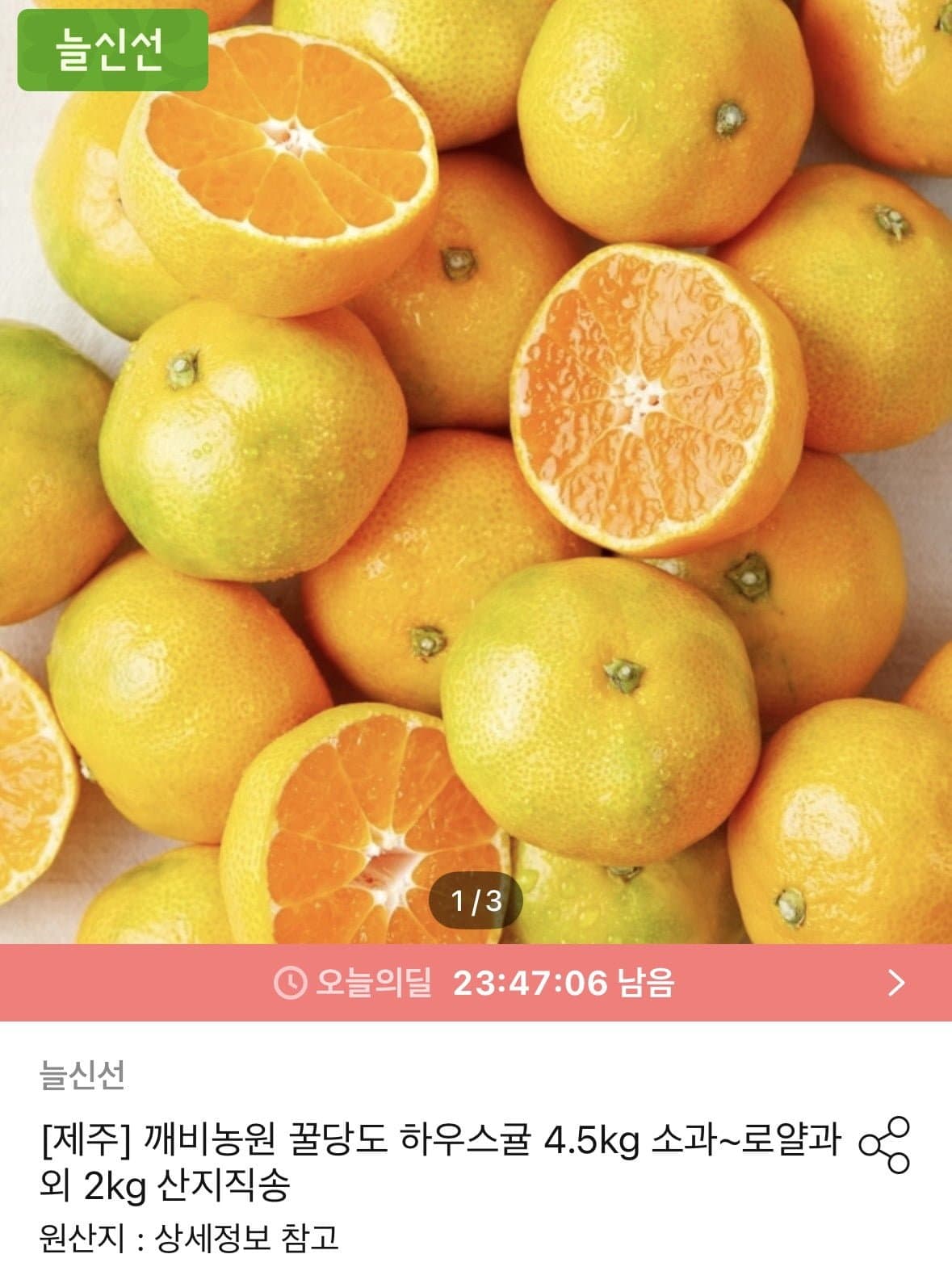 [오늘의집]깨비농원 꿀당도 하우스귤 4.5kg 로얄과 (26,901원/무료)