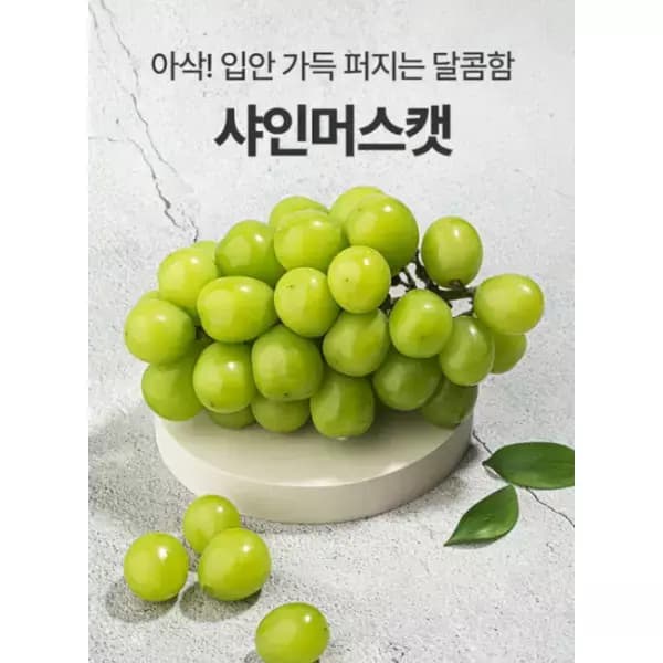 [지마켓] 산지직송 고당도 샤인머스켓 2kg 3~4수 (12,920원/무료배송)