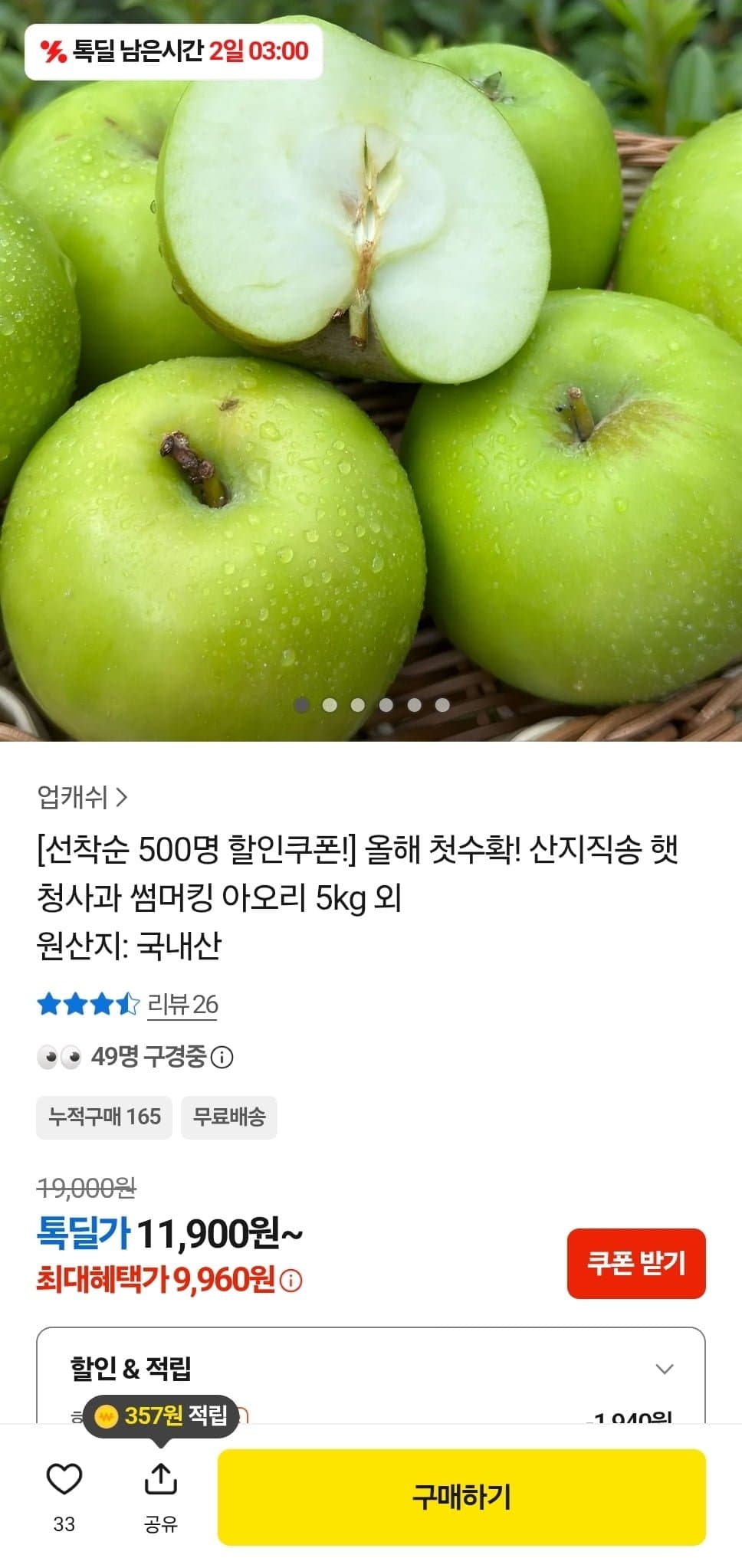 [카카오]산지직송 햇 썸머킹 아오리 청사과 소과 5kg (9,960원/무료)