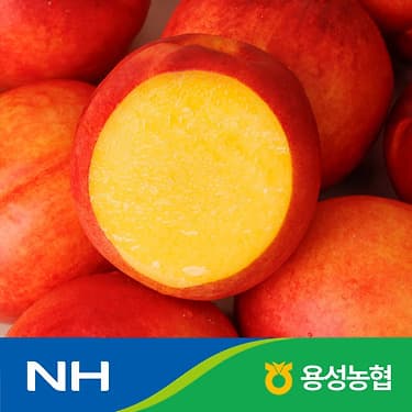 [카카오] 국내산 레드골드 천도 복숭아 2kg 대과 (11,250원 / 무료배송)