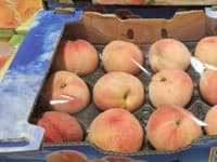 복숭아 (3KG) 원산지 : 국내산 (21,490원)