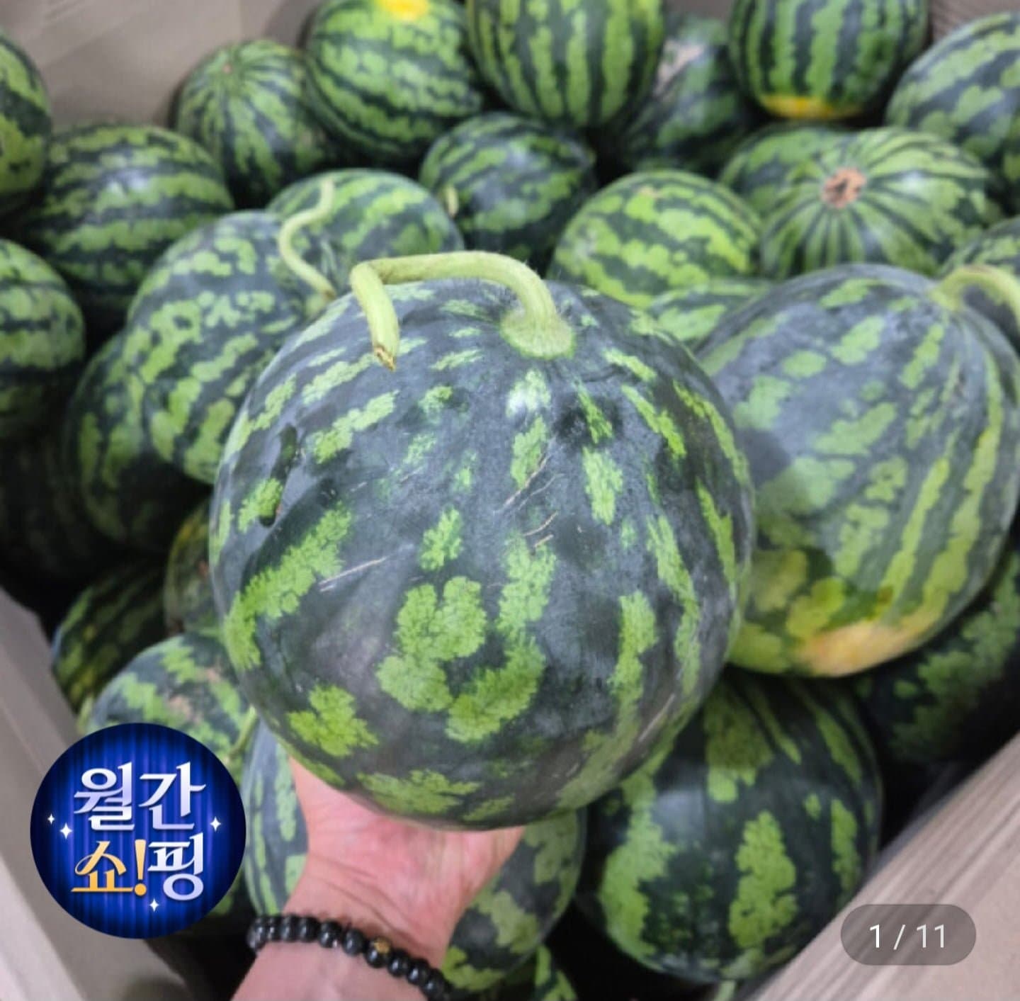 [지마켓]제주 수박 노지수박 3~6kg 다양 (7,980원/무료)
